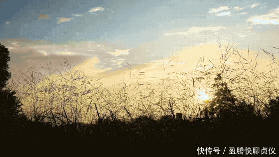 这部纪录片央视发力了,每一帧都可以当壁纸,BBC也无法超越