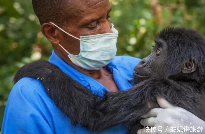 世界上“最开放”的国家，对全世界实行免签！游客：免费也不想去