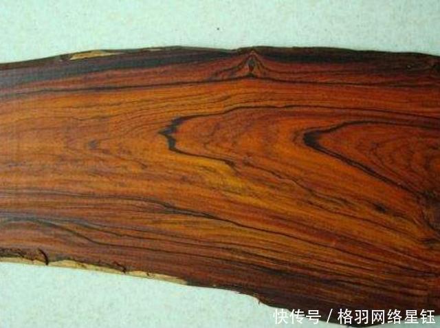  树木：农村一种古老的树，农民不知道珍惜当柴烧，须不知全身上