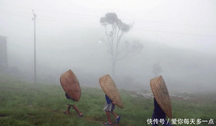 被誉为全球最潮湿的地方，一年难见太阳，被子上都能长出蘑菇 ！