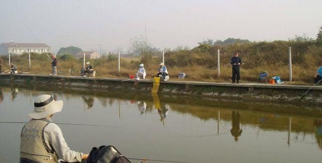  【轻信】不要轻信“偷驴”就需要小味型的饵料，详解“偷驴”味型应用方法