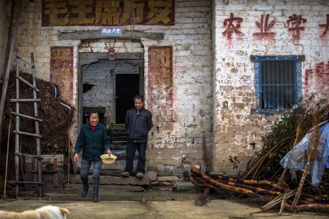 20日17时迎“大寒”！俗语“大寒见三白，猪狗不吃黑”，啥意思？