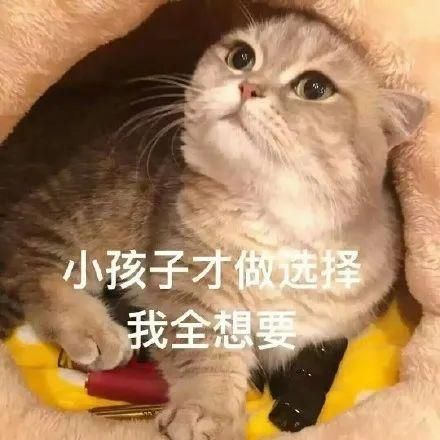 『女生』这4个单品每个女生都有,但80不知道可以这么搭
