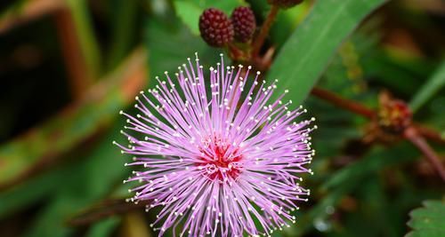  顺利脱单|在6月份内，天赐良缘！这四大星座桃花运满满，遇见今生所爱！