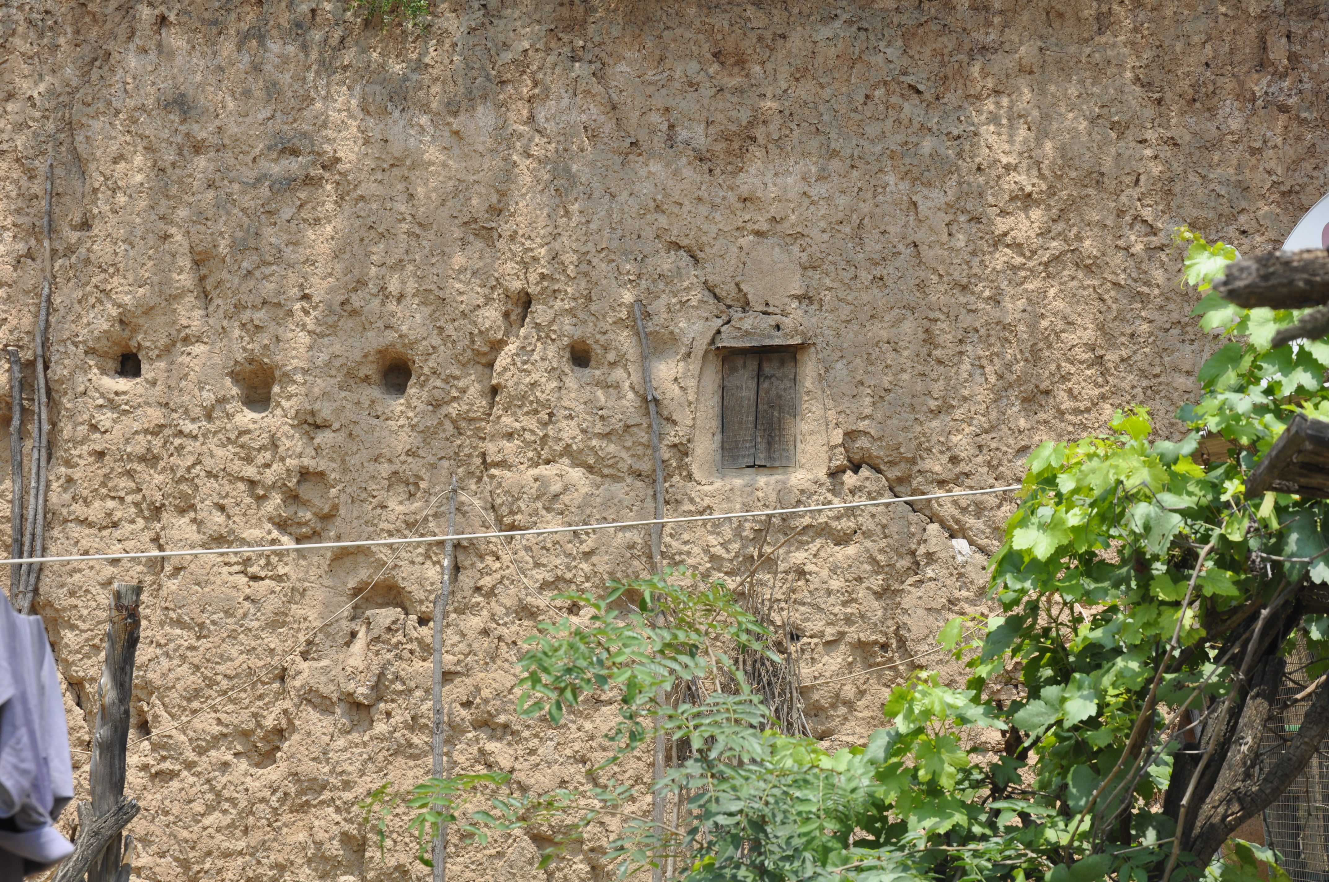 晋南一位6旬大叔年轻时用了一头牛换回来个媳妇，听大叔怎么说