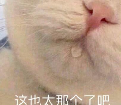 没体会过哈尔滨的冬天，实在是人生的一大憾事！