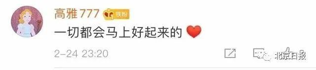  证明是成功：“世界欠你们的！”听到世卫专家的评价，翻译小姐