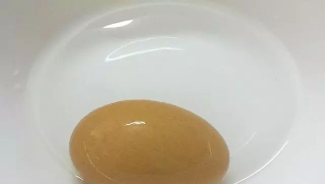 『莫不』只要5个蛋,能把整个鱼塘钓光光,莫不信,新手用了一天钓258斤