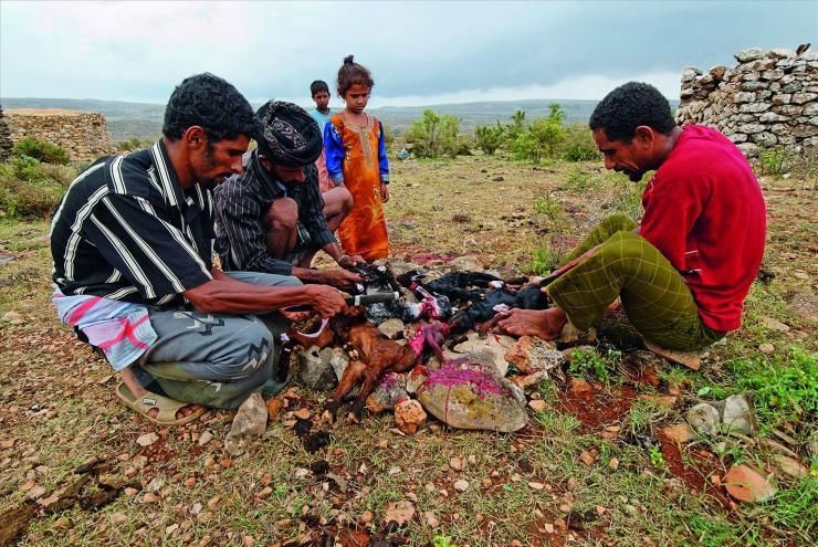 全球最奇葩的岛屿之一，看起来像外星球，岛民平均最少生5个孩子