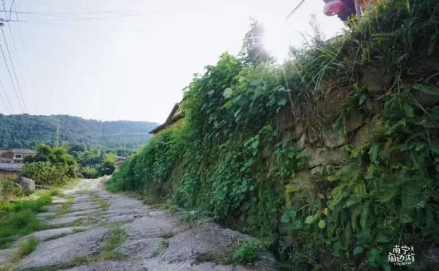 南宁深山藏了个清代古村庄，土瓦房、石板路…山色葱葱，宁静闲适