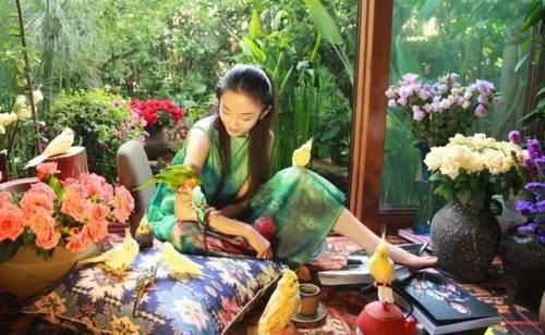 吸金还是追求？杨丽萍“太阳宫”设最低消费，一百只能买一杯咖啡