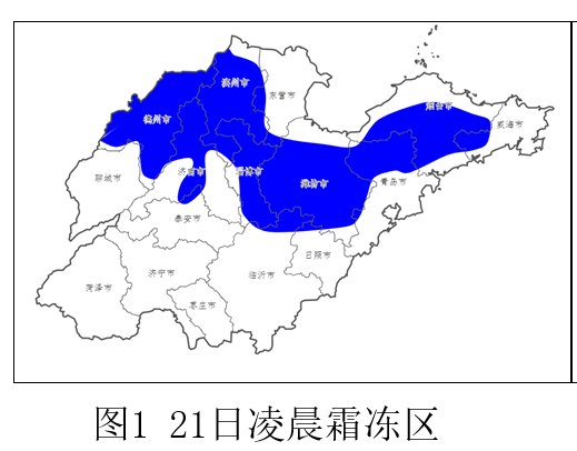  [地表]低温+霜冻！山东未来三天地表最低温-1℃！将对农业生产造成不利影响