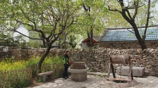  「小院」理想中的乡村小院