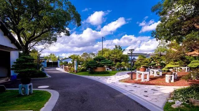 国内最大的专类盆景园,江南园林海派风格美不胜收