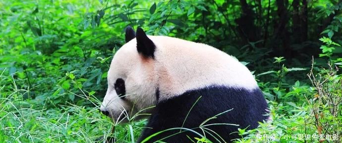 国内最适合穷游的7个地点 要你花最少的钱 看最美的景！