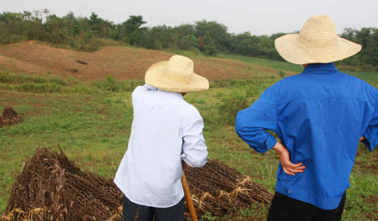  [改革]农民有福了：2019年农村土地回收改革，一亩拿30万补偿款