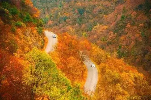 秦岭深藏敢与九寨沟媲美的地方！有条惊艳的自驾公路