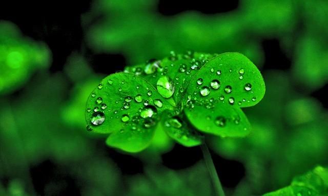 带雨的诗句 哪一句才是你的最爱