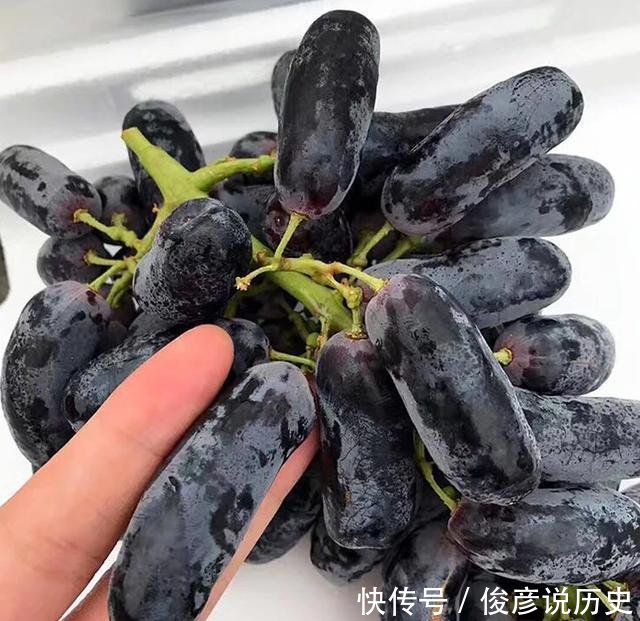 『盆栽』闲置阳台种上这个, 养眼好吃易管理, 盆栽一年即可挂果!
