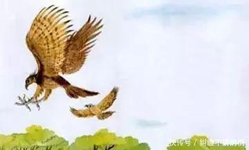  #王位#金雀花王朝第二代唯一无缘王位的王子机关算尽，怎奈天不假年！