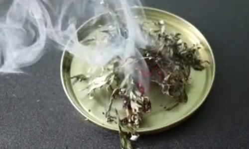  「烧成灰」艾草“烧成灰”抹在身上，收获3个好处，很多人白白浪费