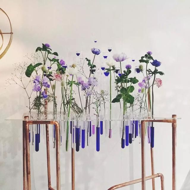  花店@请拖住下巴，全球9间超赞的花店