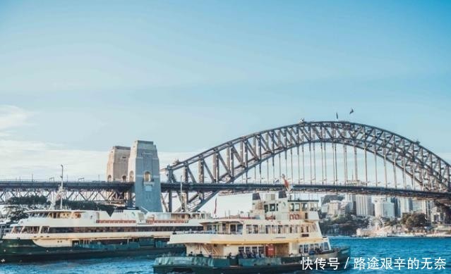 印度一桥梁用树种出来，存在500多年却越来越牢固，桥身就是树