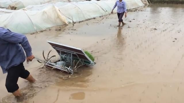 小伙发明“背式”插秧机，一个小时插秧2亩地，成本200元