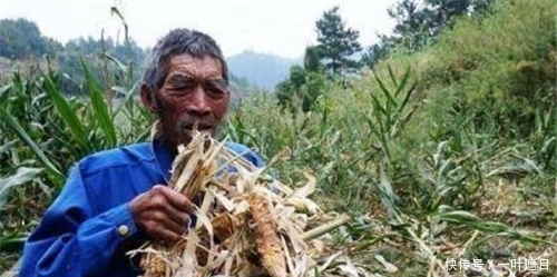  「兔子」俗语：“春不捡鸡，冬不捡兔”，讲的是什么？老祖宗的