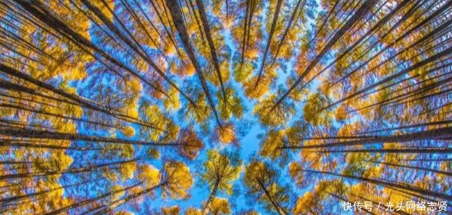 气候类型的分布有规律吗这种气候竟在亚洲、非洲、南极洲都没有