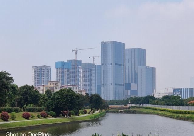  「再次」“旗舰杀手”的再次蜕变 一加8 Pro拍照专项评测