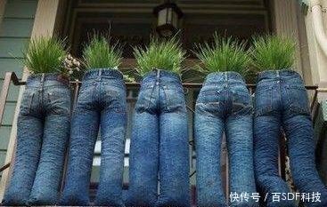 女子收集牛仔裤，里面种上花草挂起来，真的很有格调
