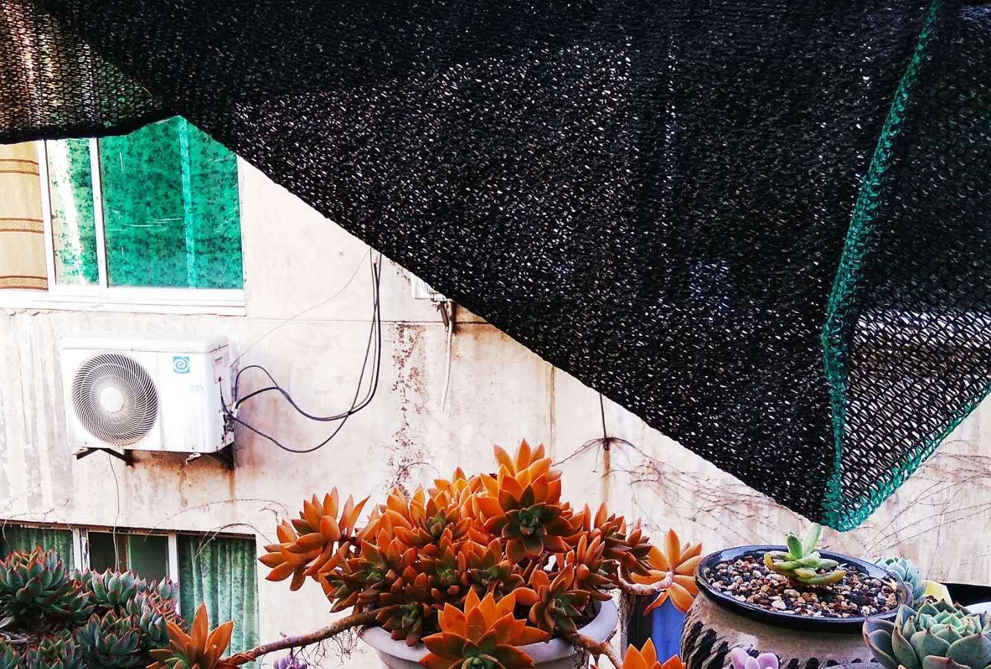  「到上面再滴」多肉拉了黑色遮阳网，下雨雨水滴在盆里了，怎么处理多肉才不会死