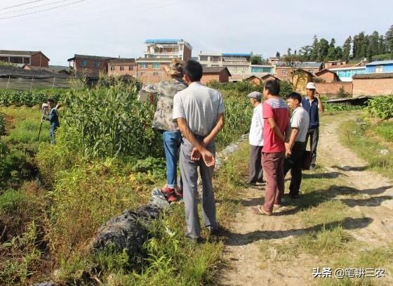 2019年起，农村土地或将发生2大变化，农民面临5种结局，你咋选？