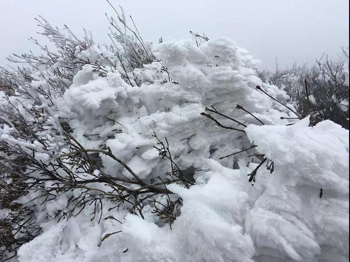 这次，你有错过绿春湖的雪景吗？那种美，简直难以名状……