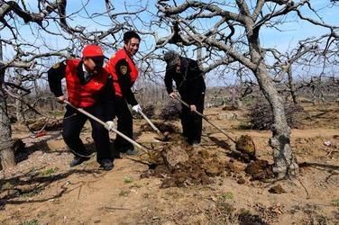 中国苹果落后？荷兰专家是这样看待我们的！