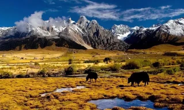 川西！被上帝偏爱的地方，来探寻一下这些还未开发的世界级景点