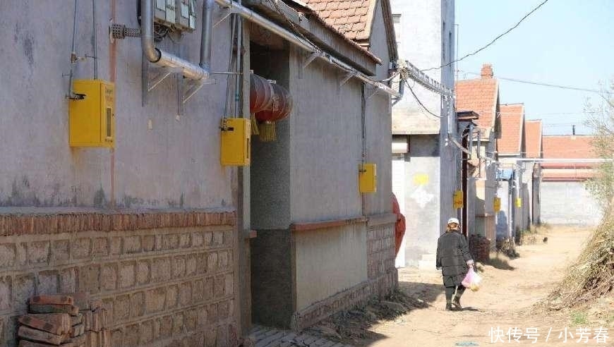  [停工]停工令后农民要失业了? 国家准备了5大赚钱的项目, 农民不