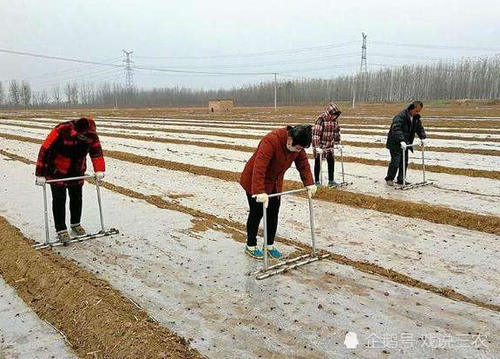 今年起，国家对出嫁女的户口有了新规定，必须落实，不得强制！