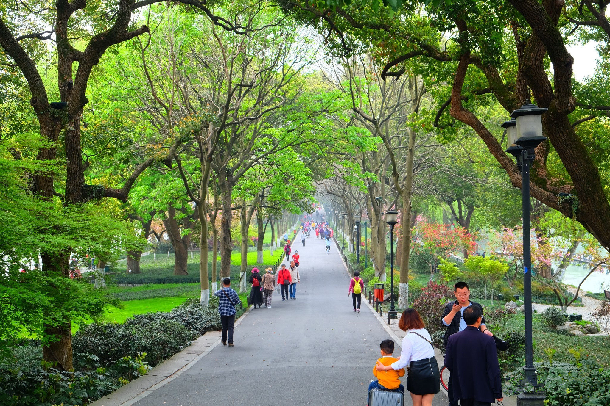 全国最良心的景区，门票至今仍坚持一块钱，游客来了都不愿离开