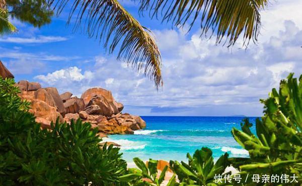 地球上最像外星世界的地方,这里的动植物仿佛来自火星!