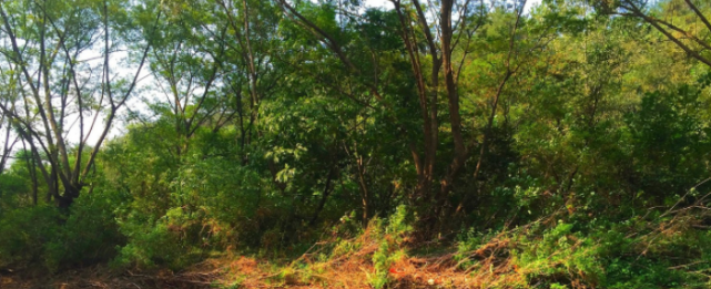 福建最富裕的一座三线城市：GDP增速省内第一，未来不容小觑