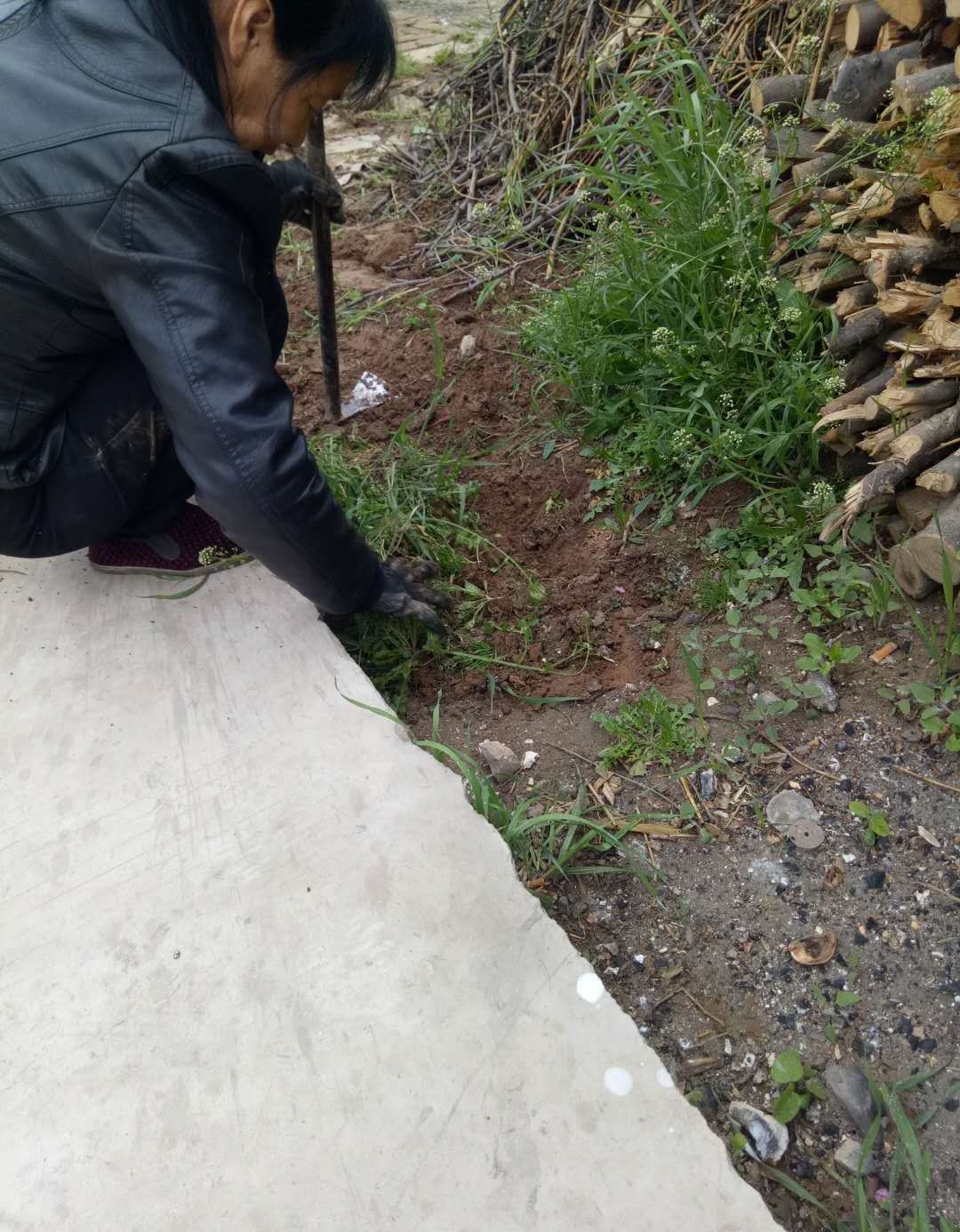 农民工回家收拾门前杂草，在外辛苦打工半年一场空