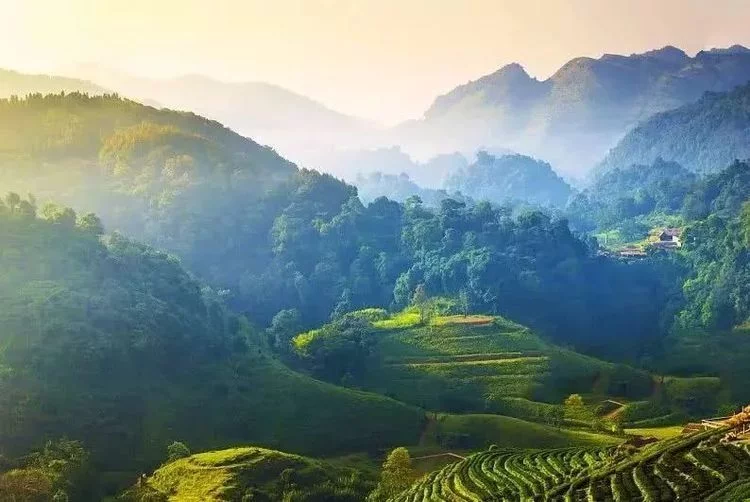 不输九寨的四季皆景,川藏线茶马古道的起点!【在线观看】