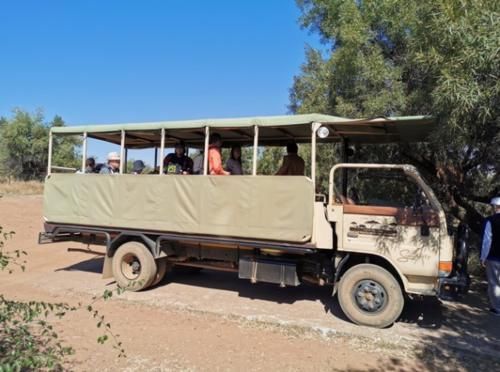 非洲最会“骗人”的植物，把自己伪装成玉石，中招的游客不计其数