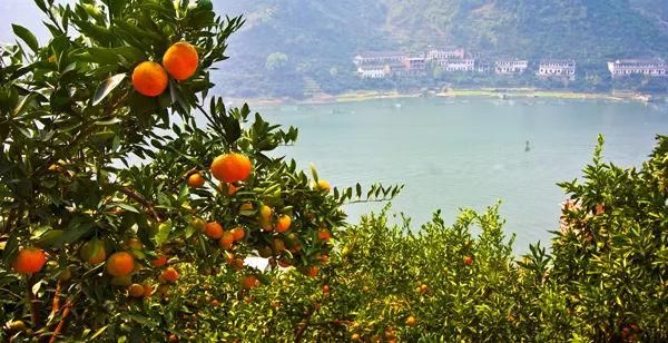 似梦徽州,总有一抹撩人的秋