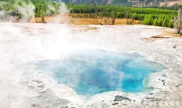 黄石公园珍稀的石化树,被游客一点点拿光,温泉被硬币堵塞!