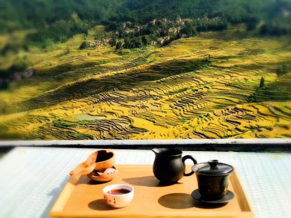 大促299元超值抢购元阳599自由行套餐