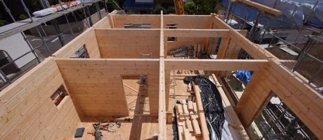  [种地]日本“穷人”住别墅，富人在闹市买地专用来种地，这个世