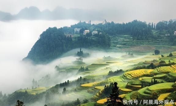 广西的这5个县区是全国最美县域